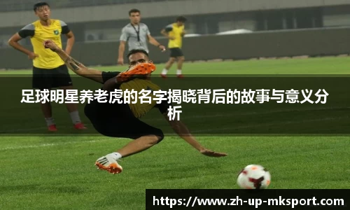 足球明星养老虎的名字揭晓背后的故事与意义分析